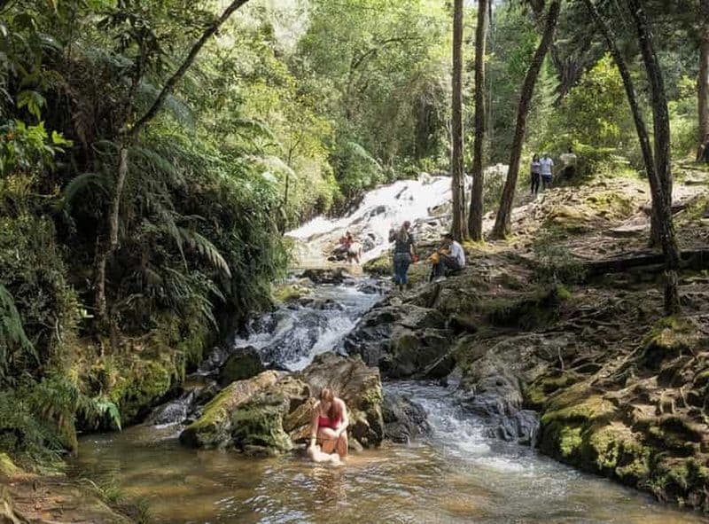 Billet Visite à pied d'Arví