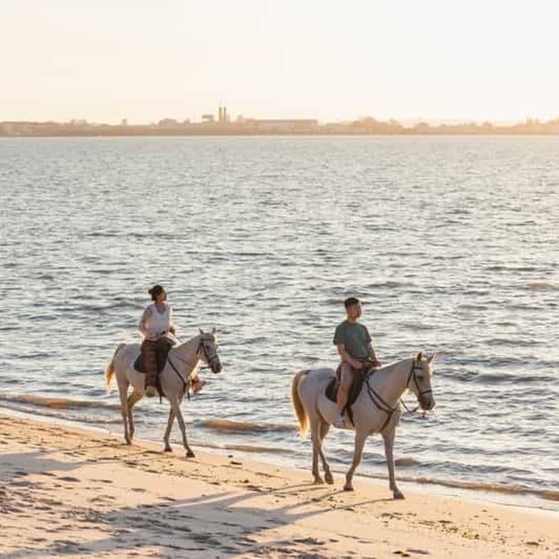 Billet Balade à cheval sur la plage au coucher du soleil