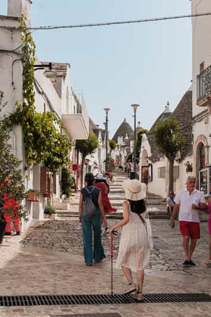 Billet Alberobello : visite guidée à pied d'une heure des trulli