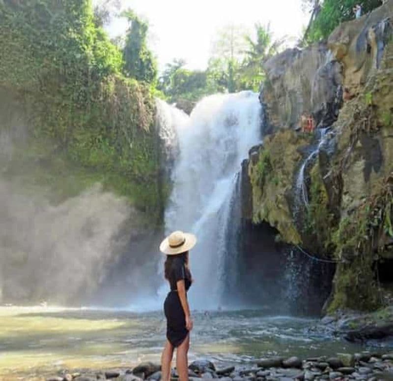 Billet Bali : rivière des singes, cascade de Tegenungan et temple de Batuan