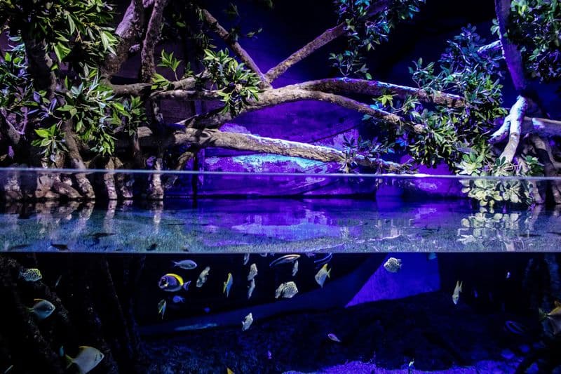 Aquarium de Séville