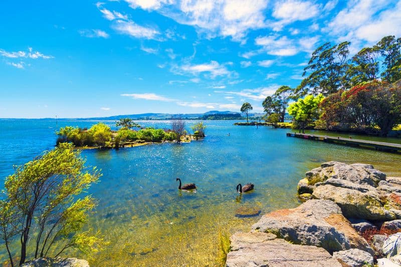 Lac Rotorua