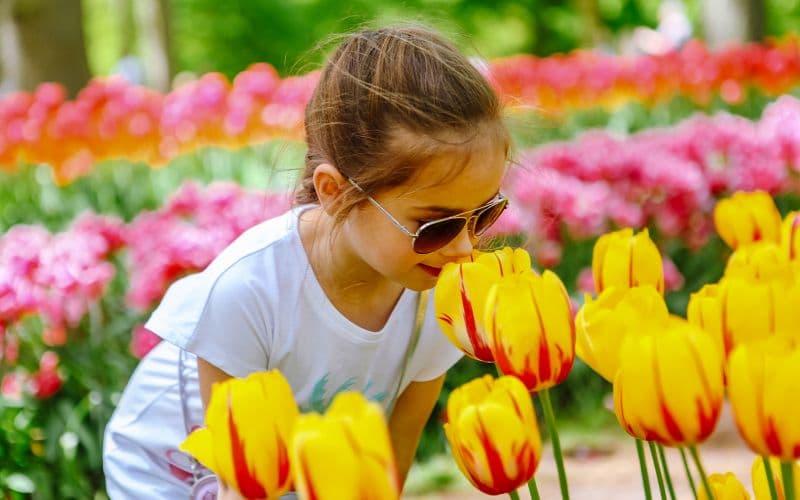 Billet Depuis Amsterdam : Excursion d'une journée à Keukenhof et à une ferme de tulipes