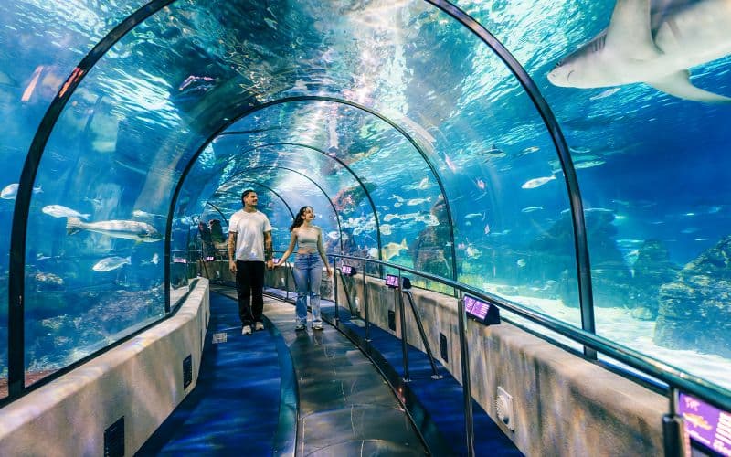 Billet Billets coupe-file pour l'Aquarium de Barcelone