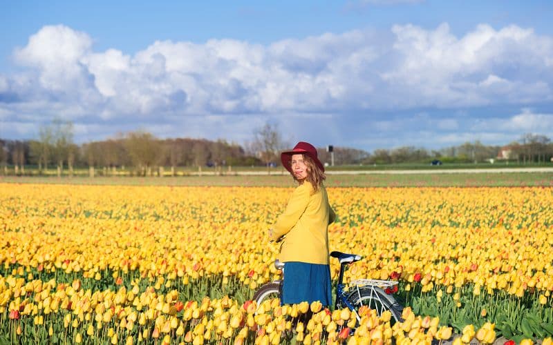 Billet Depuis Amsterdam : navettes aller-retour vers les champs de tulipes de Keukenhof