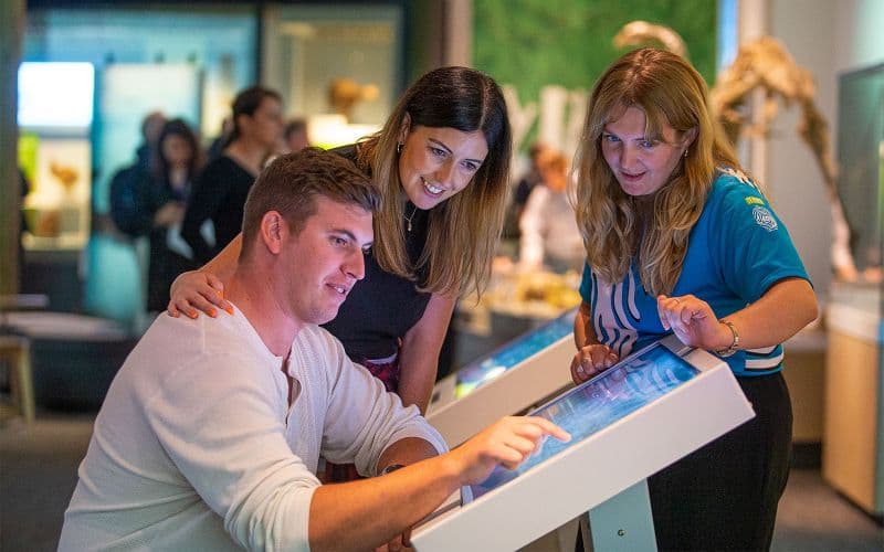 Billet Billets d'entrée anticipée pour l'exposition Gallipoli au musée Te Papa Tongarewa