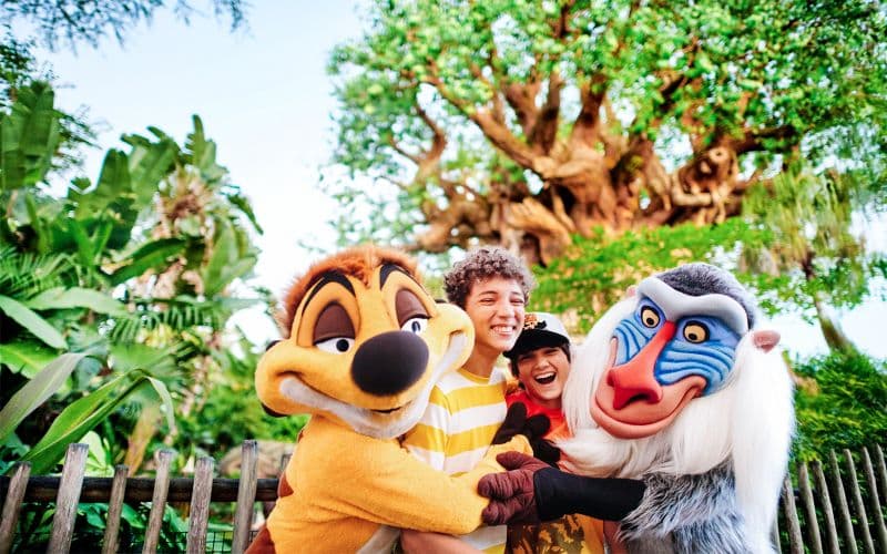 Billet Billets multi-jours pour Walt Disney World Orlando (2-10 jours)