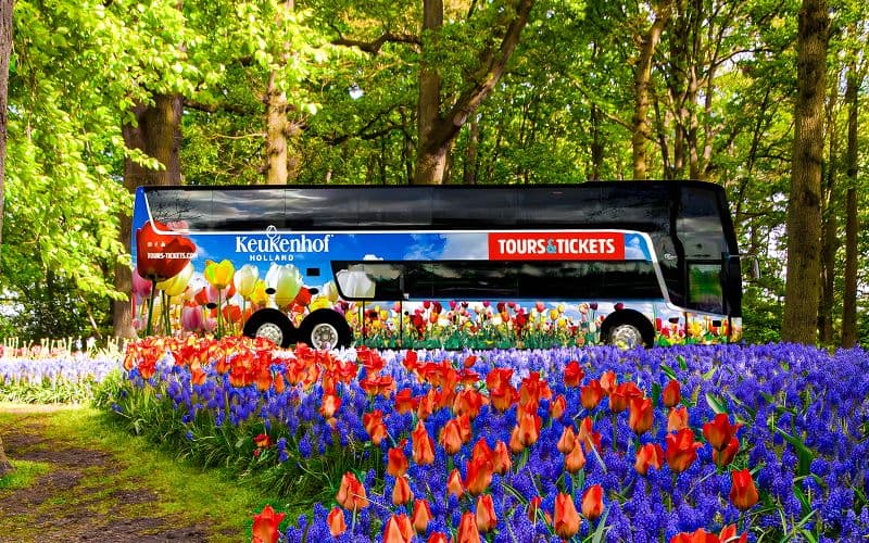 Billet Billets d'entrée à Keukenhof avec transferts en bus de luxe depuis Amsterdam