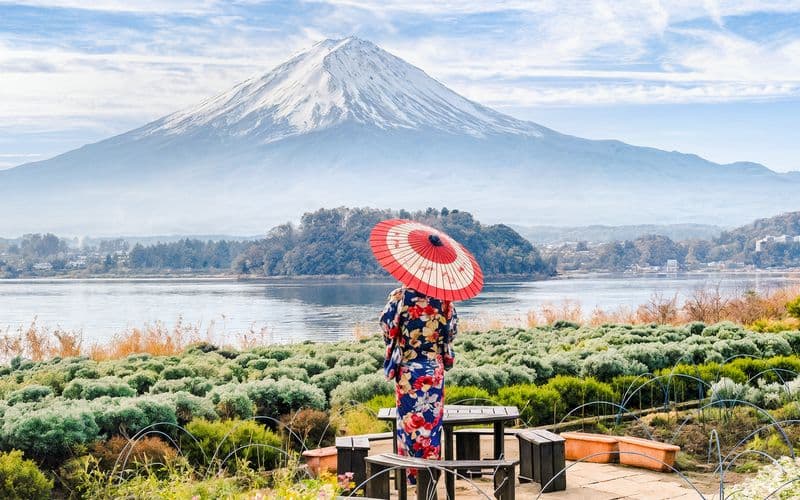 Billet Visite Instagrammable du Mont Fuji : Pagode Chureito, parc Oishi, magasin d'horlogerie Hikawa, magasin Lawson, et plus encore.