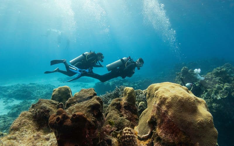 Billet Scuba Diving at the Gulf of Catania