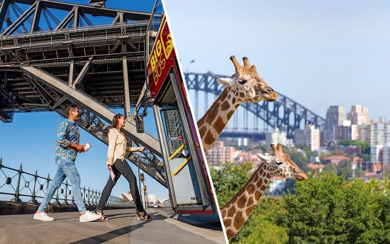 Billet Combo : visite Hop-On Hop-Off de Sydney avec Big Bus et billets pour le zoo de Taronga