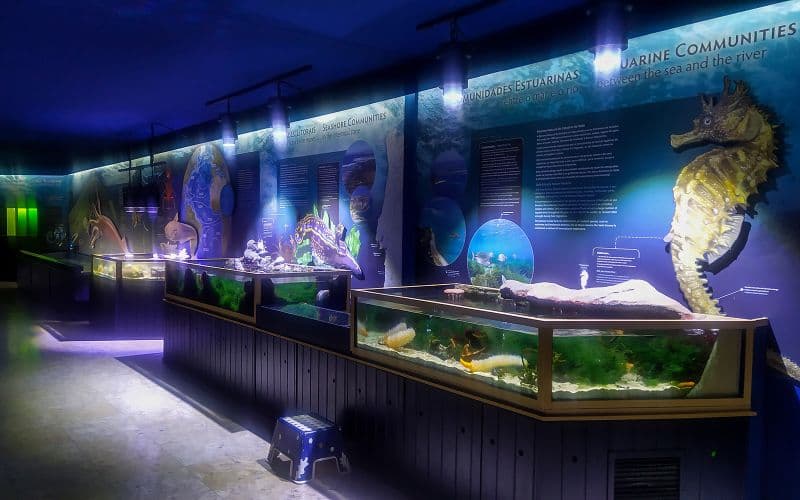 Billet Billets pour l'aquarium Vasco da Gama à Lisbonne
