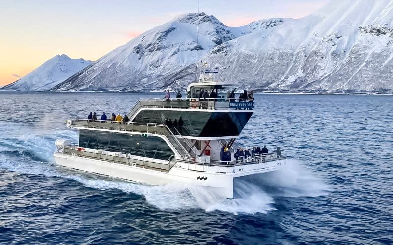 Billet Depuis Tromsø : Croisière dans les fjords arctiques et visite de la faune et de la flore