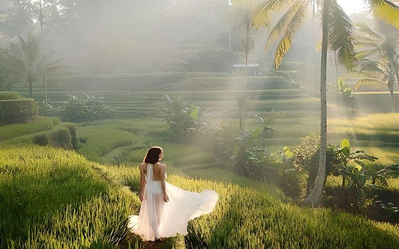 Billet Meilleure visite d'Ubud : Forêt des singes, rizière et cascade