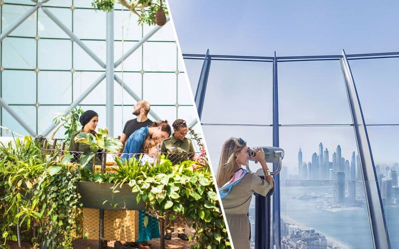 Billet Combo (Economisez 37%) : Billets pour Green Planet Dubai + The View at the Palm