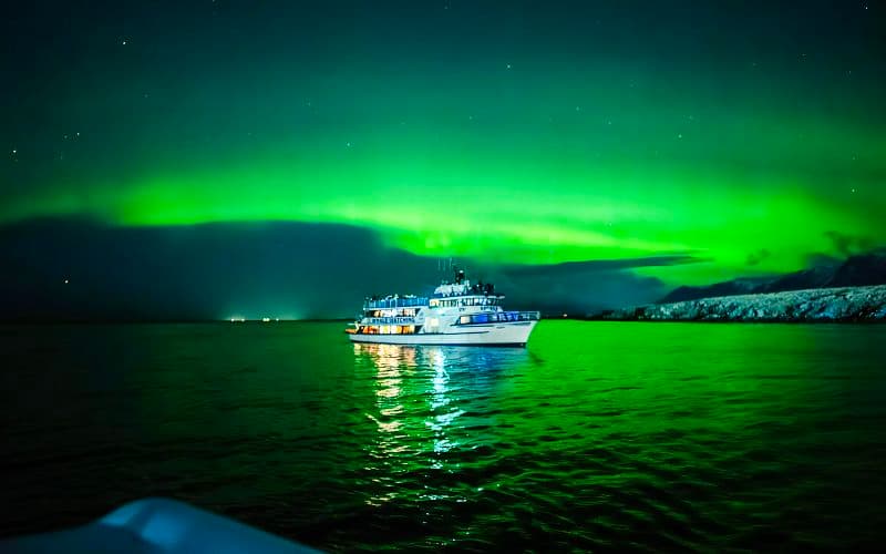 Billet Reykjavik : Croisière touristique aux aurores boréales