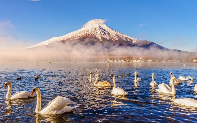 Billet Visite guidée d'une journée au Mont Fuji avec le lac Kawaguchi et le lac Yamanaka