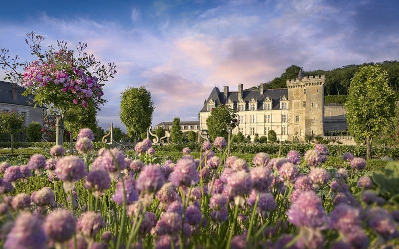 Billet Billets pour les jardins du château de Villandry