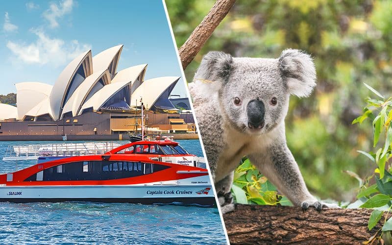 Billet Billets combo : croisière Captain Cook Cruises de 2 jours en hop-on hop-off et zoo de Taronga