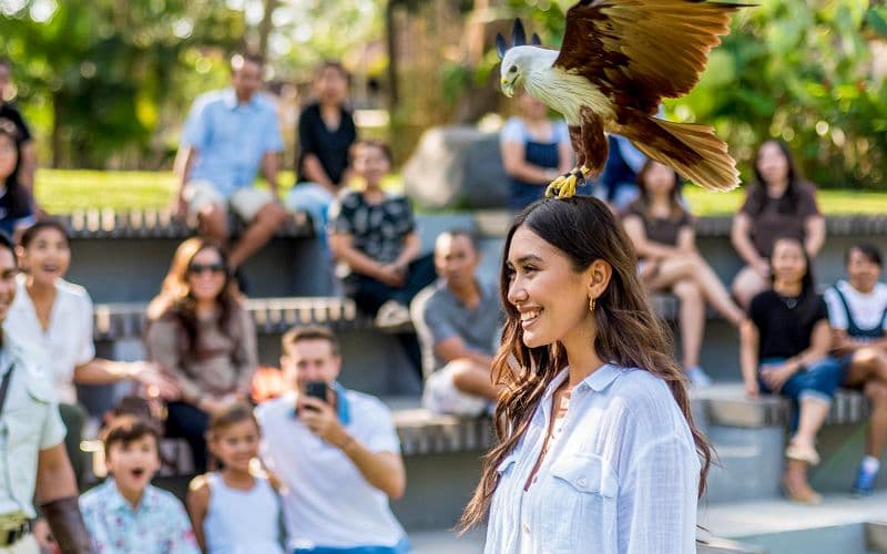 Billet Billets pour le Parc ornithologique de Bali avec déjeuner au Crispy Duck et navettes à l'hôtel