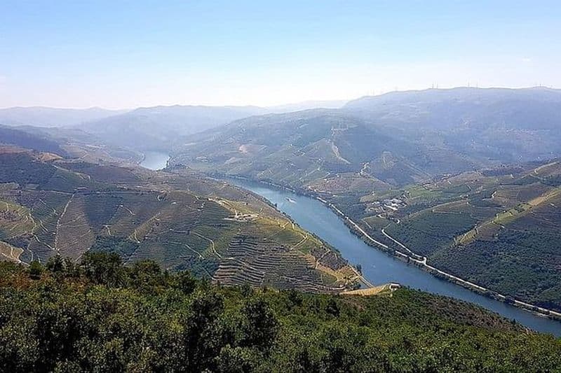 Billet Excursion dans la vallée du Douro depuis Porto avec déjeuner, dégustation de vin et croisière
