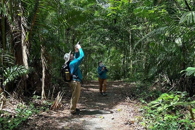 Billet Randonnée dans le Parc National de Soberanía depuis la Ville de Panama