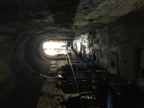 Billet Visite guidée des thermes de Caracalla et du Cirque Maxime