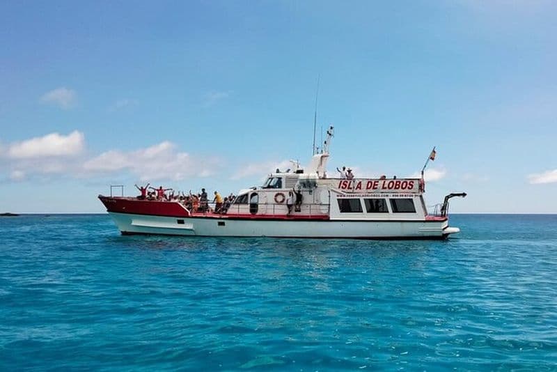 Billet Billet aller-retour en ferry depuis Corralejo vers l'Île de Lobos