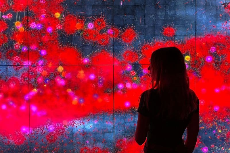 Billet Visite guidée du Born avec billets pour les musées Picasso et Moco à Barcelone