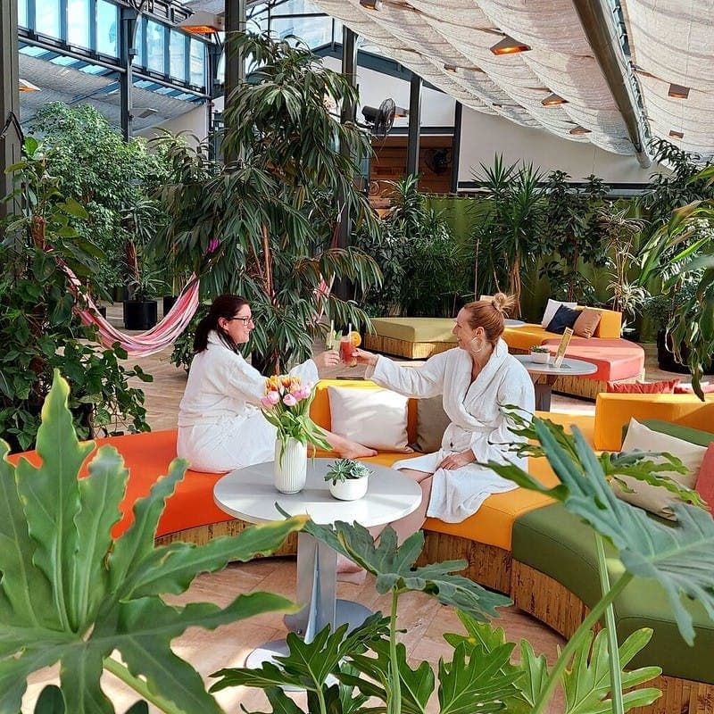 Billet Billets pour les Bains Széchenyi et la Palm House à Budapest avec collation et cocktail