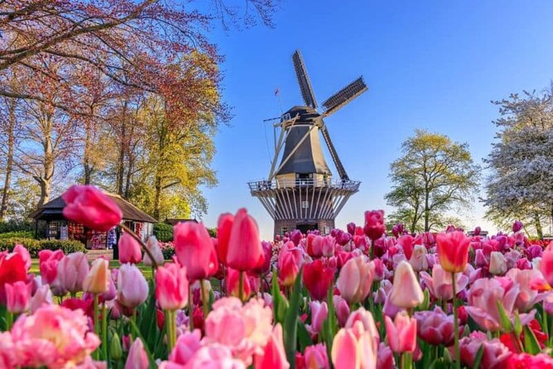 Billet Excursion à Keukenhof et à Zaanse Schans depuis Amsterdam