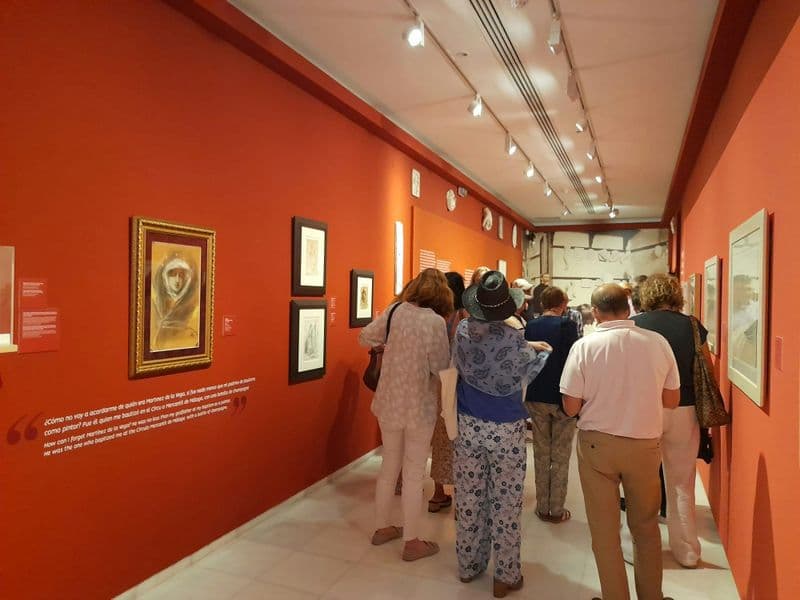 Billet Billets pour le Musée Maison Natale de Picasso à Malaga