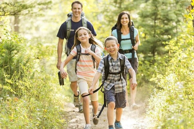 Billet Excursion au Drakensberg, au lieu de capture de Mandela et aux chutes d'Howick depuis Durban