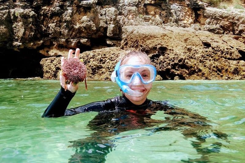 Billet Excursion de snorkeling à Arrábida depuis Lisbonne