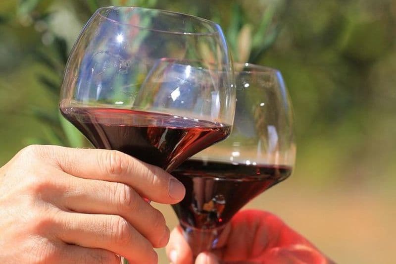 Billet Visite de vin à Châteauneuf-du-Pape depuis Avignon