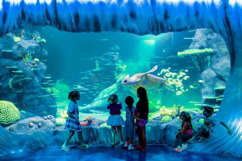 Billet Billets pour l'aquarium Sea Life de Sydney