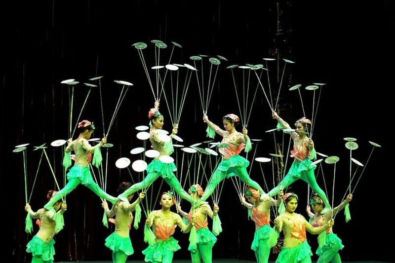 Billet Billets pour un spectacle d'acrobates et visite nocturne de Shanghai