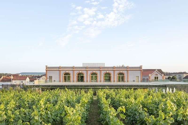 Billet Billets pour le musée œnologique Pressoria d’Épernay avec dégustation de champagne