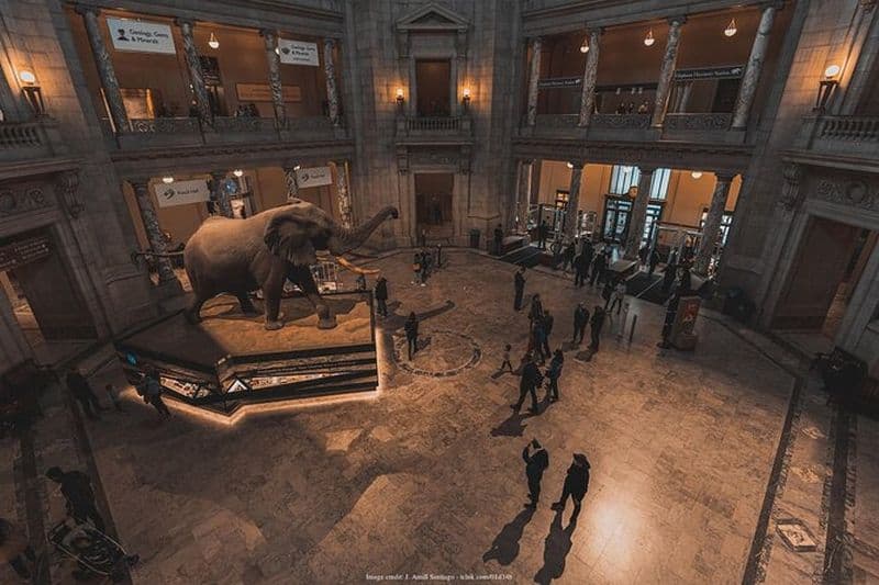 Billet Visite guidée privée de deux musées de Washington DC : Histoire naturelle et Histoire américaine