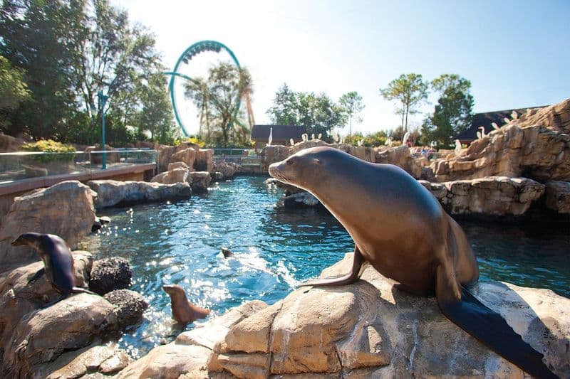 Billet Billets pour SeaWorld à Orlando