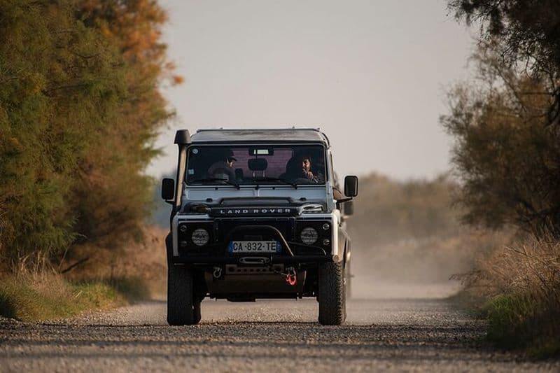 Billet Tour en jeep dans le Parc Naturel Régional de Camargue à Arles