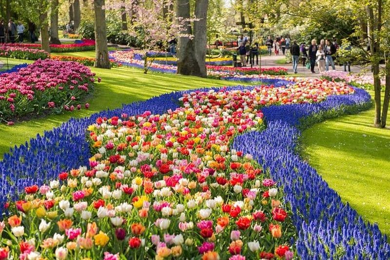 Billet Excursion aux jardins de Keukenhof depuis Amsterdam