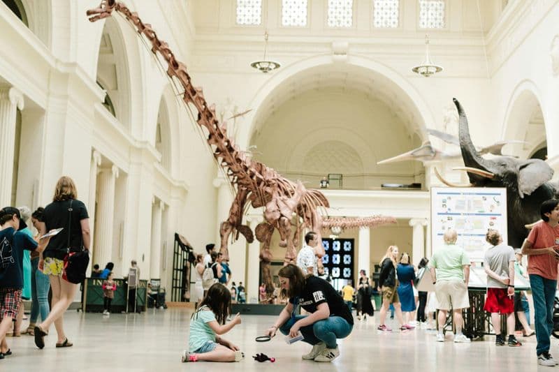 Billet Billets pour le Musée Field d'Histoire Naturelle de Chicago