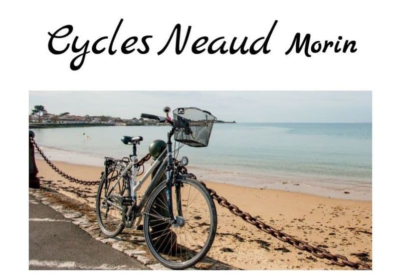 Billet Location de vélos chez Réavélo Néaud-Morin Les Portes-en-Ré