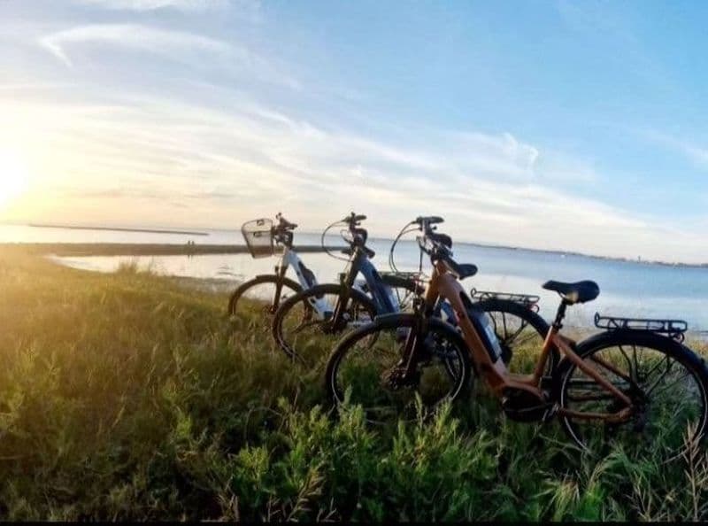 Billet Location de vélos chez Mama Bike