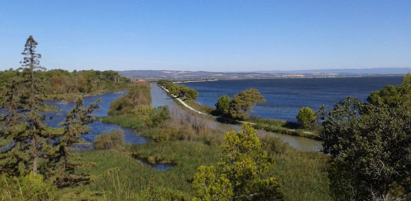 Billet Location de vélos chez Languedoc VTT Evasion
