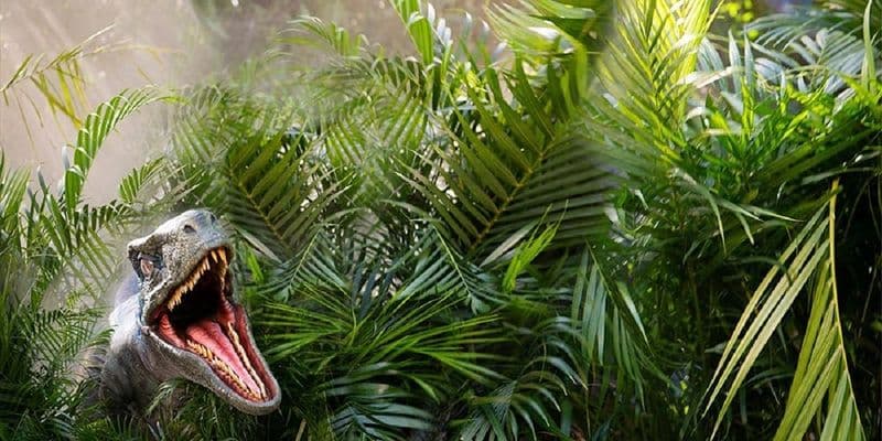 Billet Pass Express pour Universal Studios Florida