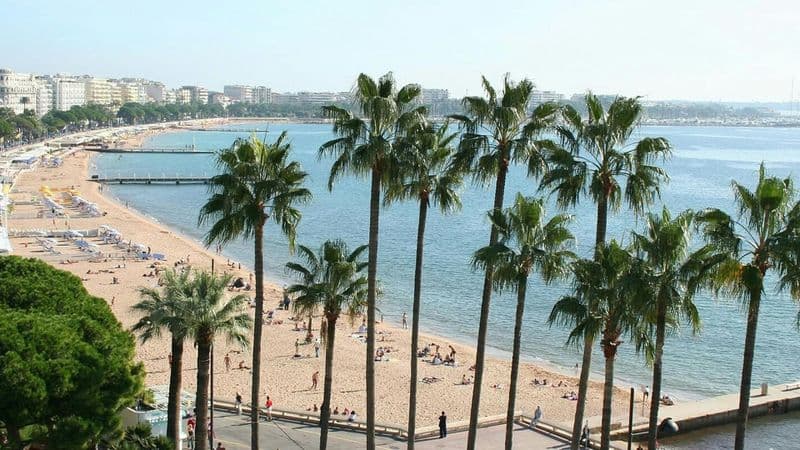 Billet Cannes private walking tour with licensed guide