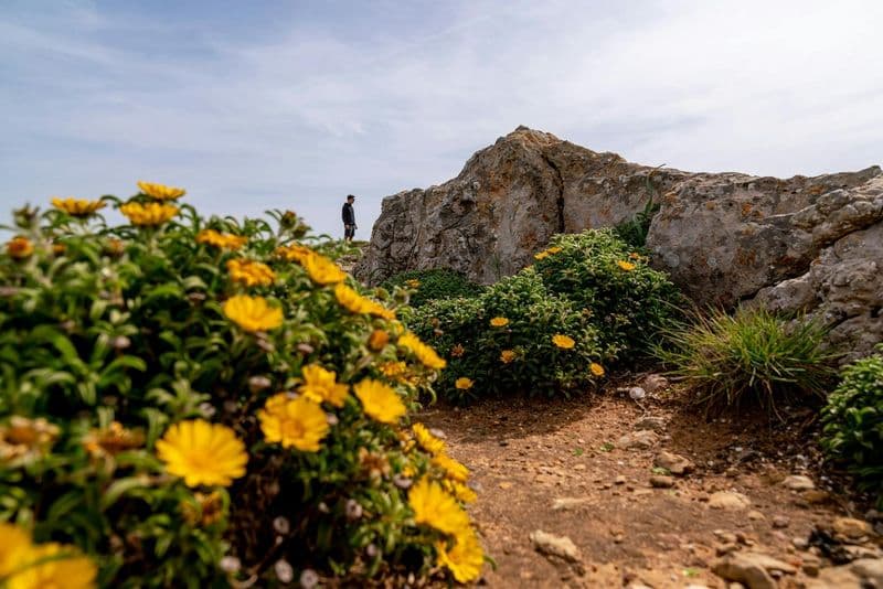 Billet 4x4 off-road half-day guided tour with wine tasting from Albufeira
