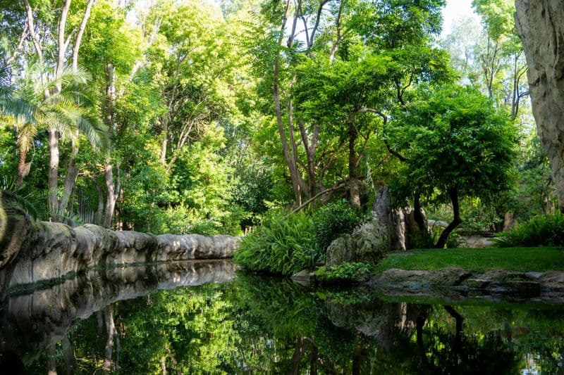 Billet Billet d'entrée au Bioparc Valencia